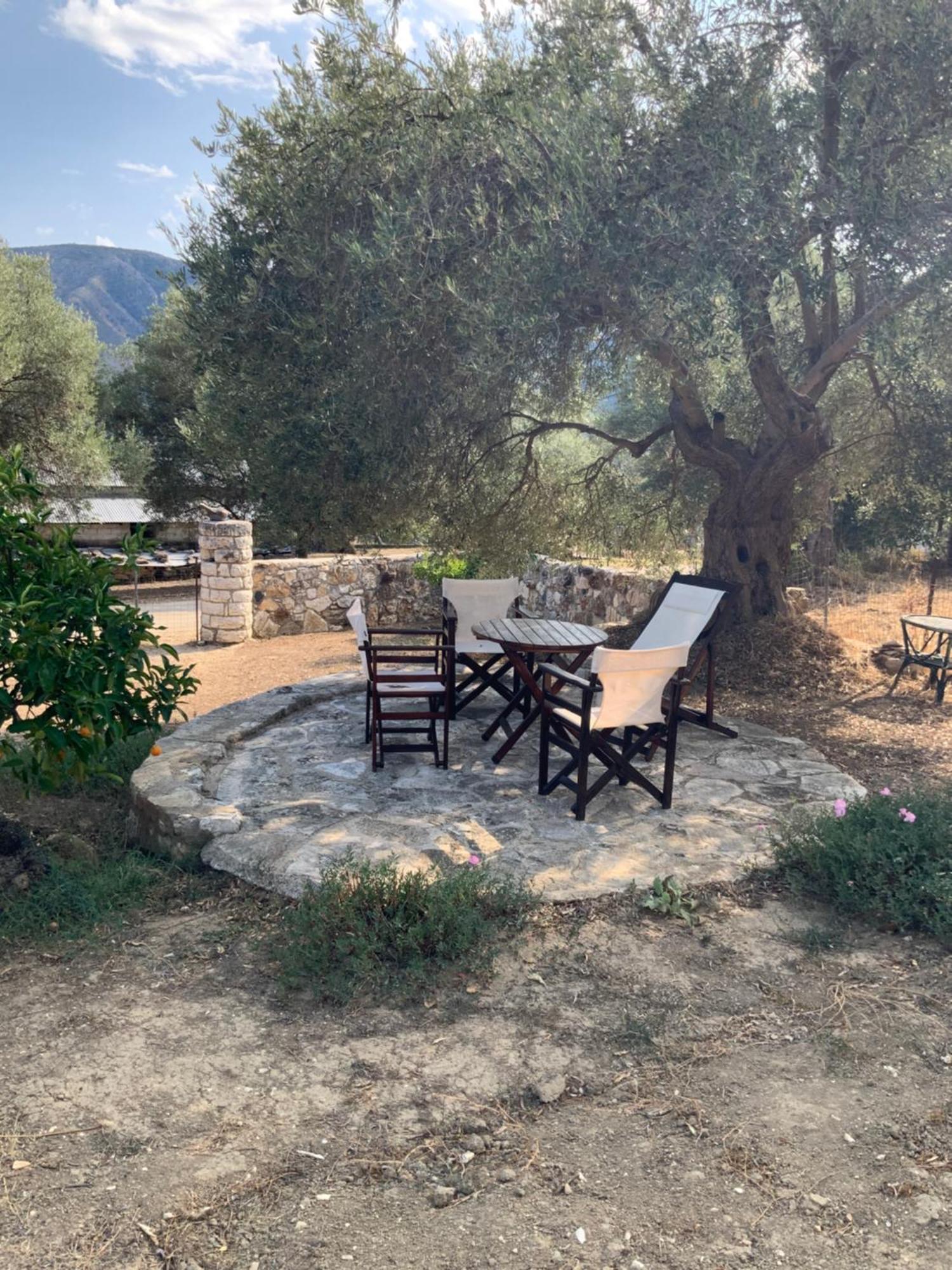 Villa Gloria Plataria إيغومينيتسا المظهر الخارجي الصورة